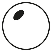 Smoke Progressive Polycarbonate