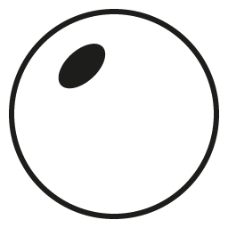 Smoke Progressive Polycarbonate